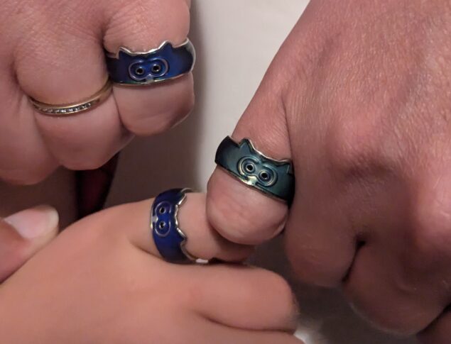 three hands making fists pointing towards each other. Each one has a mood ring with a little raccoon face on it